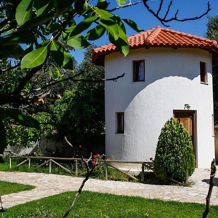 Kefalonian Mill - Oneira Villas Trapezaki  Buitenkant foto